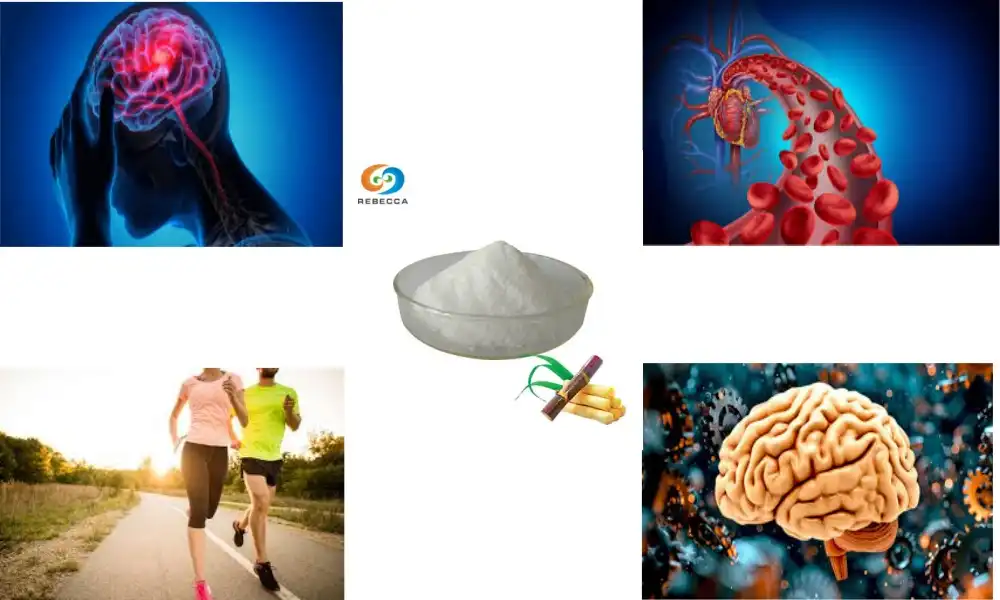 What is the difference between Policosanol and octacosanol?